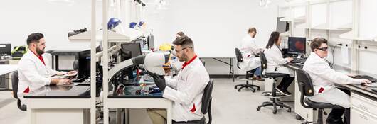 Chemical technicians working in the laboratory