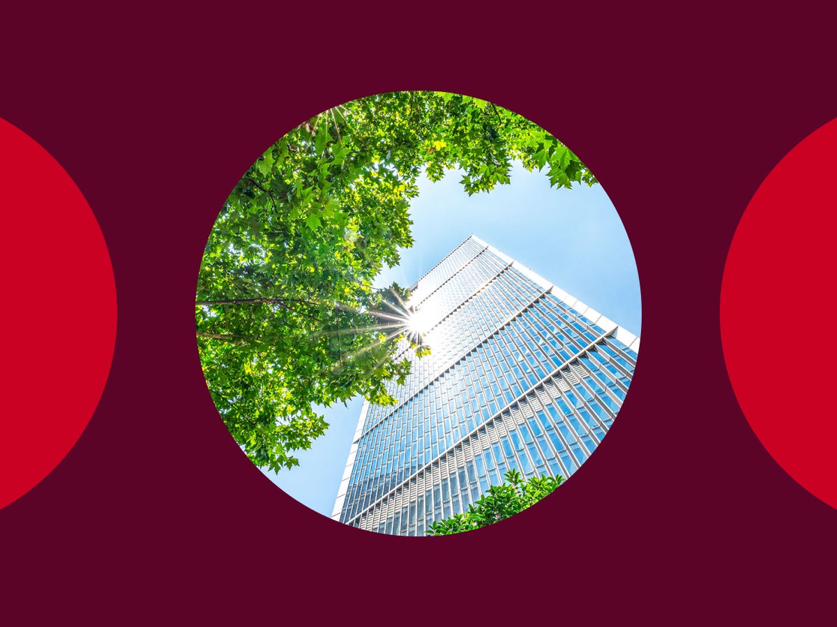 Upward view of trees against glass skyscrapers