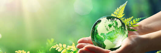 Hands holding a crystal globe surrounded by ferns in the sunlight