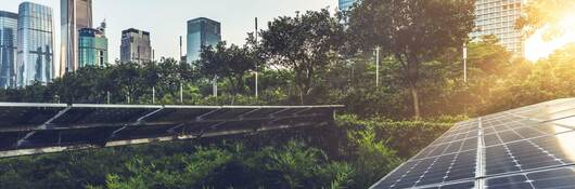 Closeup of solar panels above a forest next to a line of skyscrapers